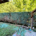 Gartenarbeiten